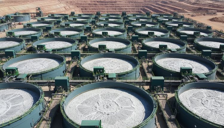 Phosphate Ore Flotation Process Guide: Optimizing Recovery and Grade